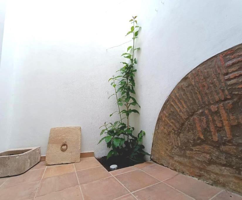 10 Maria - Faro Villa Exterior photo