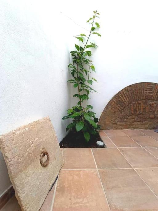 10 Maria - Faro Villa Exterior photo